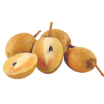 Sapota / Chikoo / Sapota