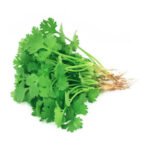 Coriander Leaves / Dhaniya Patta / Kothimeera