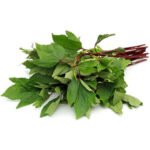 Gongura / Gongura / Gongura