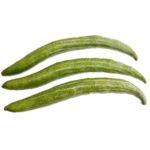 Snake Gourd / Chichinda / Potlakaya