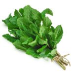 Mint Leaves / Pudina / Pudina
