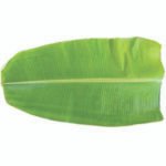 Banana Leaf / Kele ka Patta / Arati Aaku