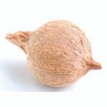 Pooja Coconut / Nariyal (Pooja) / Kobbari Kaaya (Pooja)