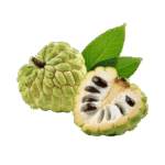 Custard Apple / Sitaphal / Seethaphal