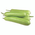 Bottle Gourd / Lauki / Sorakaya