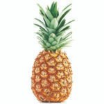 Pineapple / Ananas / Anasa Pandu